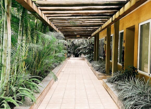 ADULTING 101 : LOSS Processed with VSCO with e2 preset