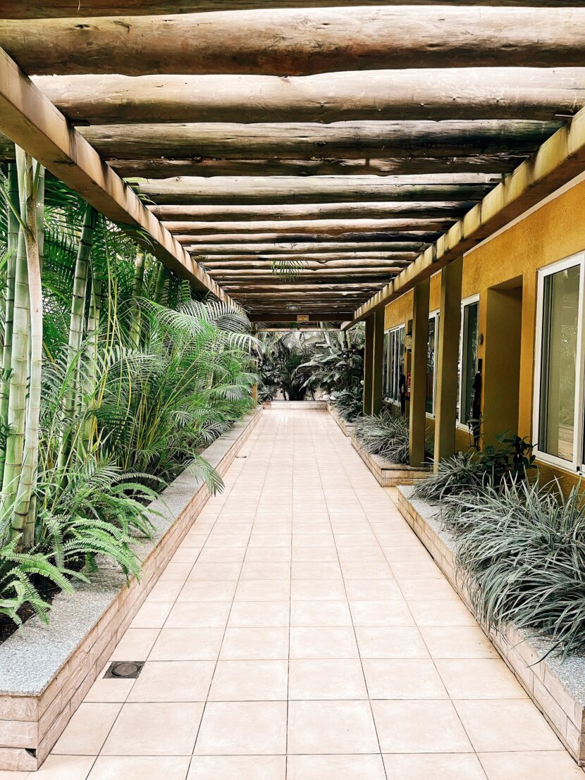 ADULTING 101 : LOSS Processed with VSCO with e2 preset